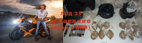 стаф Арсеньев