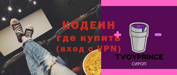 стаф Арсеньев