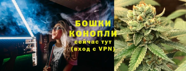 гидра Аркадак