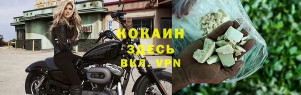 стаф Арсеньев