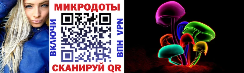 Псилоцибиновые грибы мухоморы  ОМГ ОМГ зеркало  Северобайкальск  где купить  